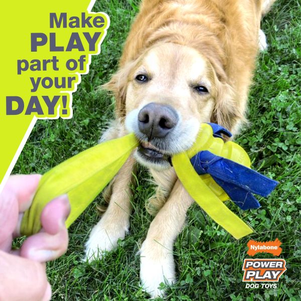 Nylabone Power Play Dog Football Gripz 1ea Large Giant - Up To 50 lb Sale