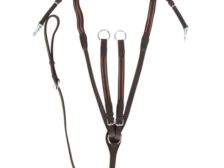 HB Collier de Chasse Leer Havane For Sale